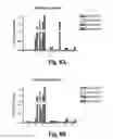 Fig. 10 - Methods and compositions for treating and preventing Shiga toxin-producing infection