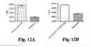 Fig. 24 - Methods and compositions for treating and preventing Shiga toxin-producing infection