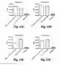 Fig. 25 - Methods and compositions for treating and preventing Shiga toxin-producing infection