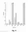 Fig. 27 - Methods and compositions for treating and preventing Shiga toxin-producing infection