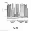Fig. 28 - Methods and compositions for treating and preventing Shiga toxin-producing infection