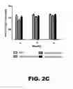 Fig. 05 - Recombinant bacterium and methods of antigen and nucleic acid delivery