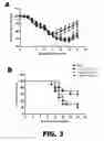 Fig. 06 - Recombinant bacterium and methods of antigen and nucleic acid delivery