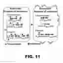 Fig. 14 - Recombinant bacterium and methods of antigen and nucleic acid delivery