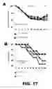 Fig. 22 - Recombinant bacterium and methods of antigen and nucleic acid delivery