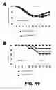 Fig. 24 - Recombinant bacterium and methods of antigen and nucleic acid delivery
