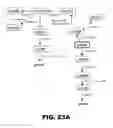Fig. 30 - Recombinant bacterium and methods of antigen and nucleic acid delivery