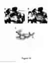 Fig. 12 - Use of 2,5-dihydroxybenzene derivatives for treating dermatitis