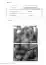 Fig. 07 - Functionalized calcium phosphate artificial bone and joint compositions and methods of use and manufacture
