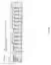 Fig. 13 - NANOPARTICULATE MEGESTROL FORMULATIONS