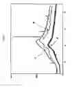 Fig. 02 - PHARMACEUTICAL FORMULATIONS COMPRISING DESVENLAFAXINE