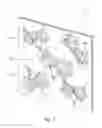 Fig. 02 - Architectural panels with objects embedded in resin interlayer