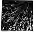 Fig. 01 - PAINT FINISH INCORPORATING DECORATIVE EFFECTS