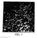 Fig. 02 - PAINT FINISH INCORPORATING DECORATIVE EFFECTS