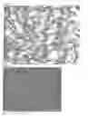 Fig. 06 - FINGERPRINT-ERASING CURED FILM, METHOD FOR MANUFACTURING SAME, DISPLAY AND TOUCH PANEL USING SAME, AND ELECTRONIC DEVICE USING THESE