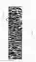 Fig. 03 - Superoleophilic particles and coatings and methods of making the same
