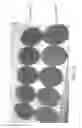 Fig. 08 - Biological specimen collection/transport compositions and methods