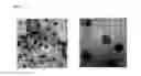Fig. 04 - Aptamer-Based Device For Detection Of Cancer Markers And Methods Of Use