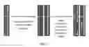 Fig. 03 - Characterization of chromosomal inversions using anti-parallel probes