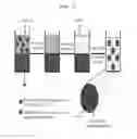 Fig. 02 - Cell labeling and imaging using multifunctional perfluorocarbon nanoemulsion