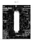 Fig. 09 - Cell labeling and imaging using multifunctional perfluorocarbon nanoemulsion