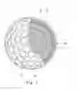 Fig. 02 - Golf ball