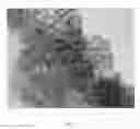 Fig. 03 - Nanostructures having enhanced catalytic performance and method for preparing same