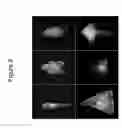 Fig. 09 - CELL ASSAY METHODS AND ARTICLES