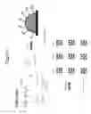 Fig. 10 - CELL ASSAY METHODS AND ARTICLES