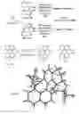 Fig. 07 - Octahydro biquinoline compound