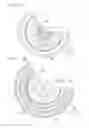 Fig. 08 - SWITCHING VALVE ASSEMBLY FOR ENDOSCOPE