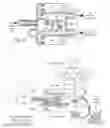Fig. 13 - Apparatus, systems, and methods for augmenting the flow of fluid within body vessels