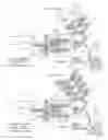 Fig. 14 - Apparatus, systems, and methods for augmenting the flow of fluid within body vessels