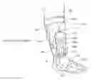 Fig. 01 - APPARATUS, SYSTEMS, AND METHODS FOR AUGMENTING THE FLOW OF FLUID WITHIN BODY VESSELS