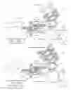 Fig. 16 - APPARATUS, SYSTEMS, AND METHODS FOR AUGMENTING THE FLOW OF FLUID WITHIN BODY VESSELS