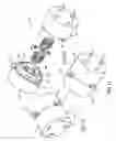 Fig. 07 - Fluid dispenser