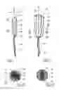 Fig. 02 - Menstrual tampon
