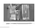 Fig. 07 - AUTOMATIC ELECTRONIC DELIVERY OF MEDICATION FOR VETERINARY AND OTHER USES