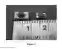 Fig. 08 - AUTOMATIC ELECTRONIC DELIVERY OF MEDICATION FOR VETERINARY AND OTHER USES