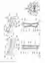 Fig. 06 - INTERVERTEBRAL IMPLANT AND TOOL FOR PLACING SAME