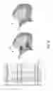 Fig. 09 - Passive associativity in three-dimensional (3D) modeling