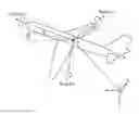 Fig. 01 - SYSTEM AND METHOD FOR DETERMINING LOCAL ACCELERATIONS, DYNAMIC LOAD DISTRIBUTIONS AND AERODYNAMIC DATA IN AN AIRCRAFT