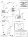 Fig. 08 - APPARATUS, METHOD, AND SYSTEM TO TRACK GOODS AND SERVICES