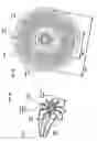 Fig. 09 - Specialty stents with flow control features or the like