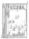Fig. 05 - Business Network Management