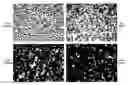 Fig. 01 - BIOMARKERS AND METHODS OF TREATMENT