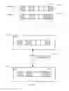 Fig. 08 - Adaptive data transmission