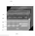 Fig. 17 - Method and systems for processing polymeric sequence data and related information