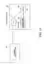 Fig. 18 - Random number generator circuit and cryptographic circuit