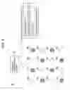 Fig. 06 - Communication system for authenticating messages with uniquely specified genuine information